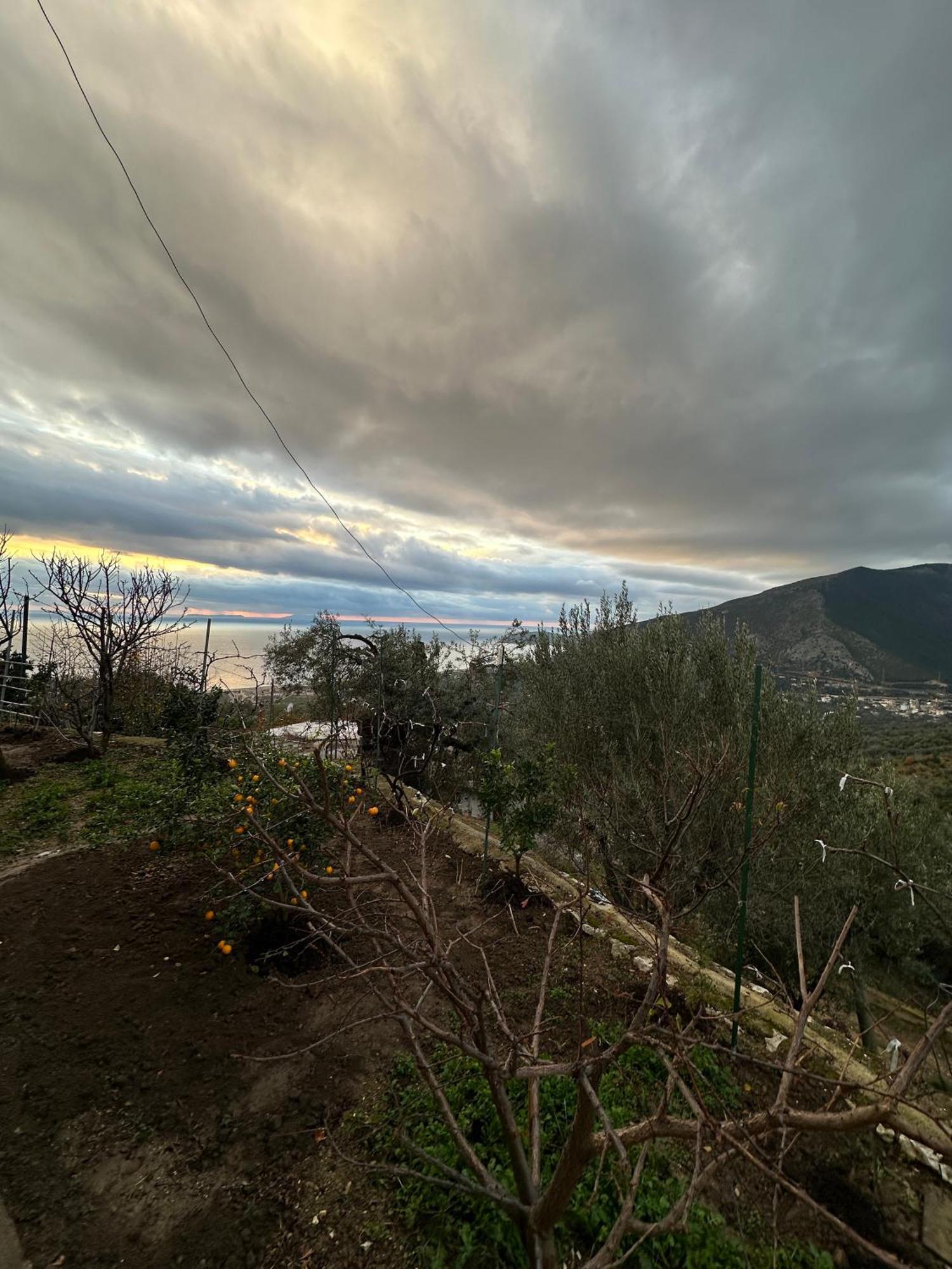 Villa Ani 보르쉬 외부 사진
