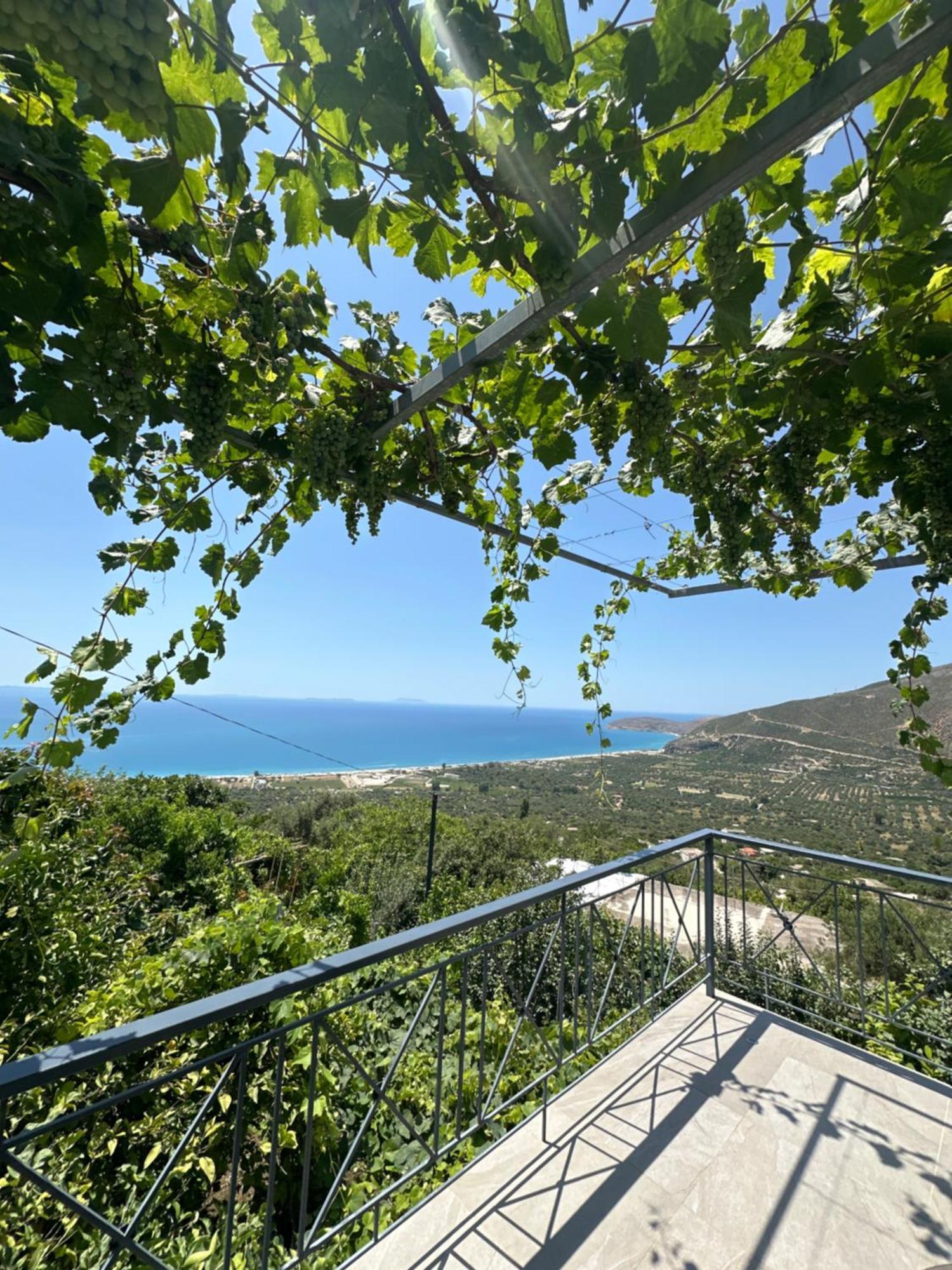 Villa Ani 보르쉬 외부 사진